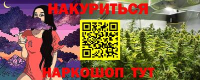 2c-b Кингисепп